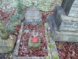 image of grave number 778907